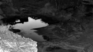 Still 1 from this detection