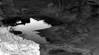 Still 3 from this detection