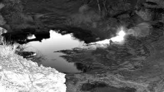 Still 1 from this detection