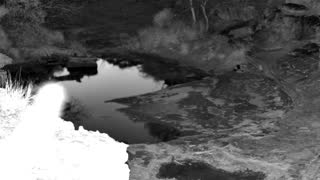 Still 1 from this detection