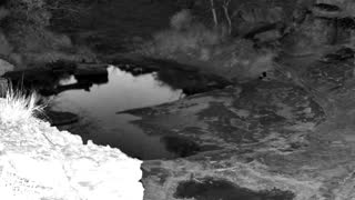Still 2 from this detection
