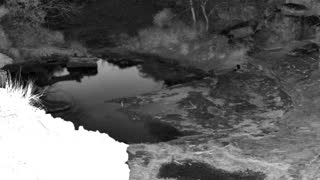 Still 2 from this detection