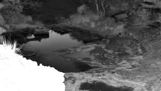 Still 2 from this detection