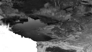 Still 1 from this detection
