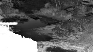 Still 1 from this detection