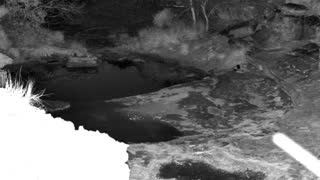 Still 2 from this detection