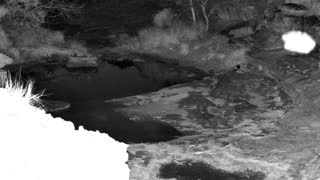 Still 1 from this detection