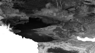 Still 2 from this detection