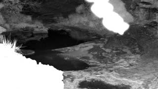 Still 1 from this detection