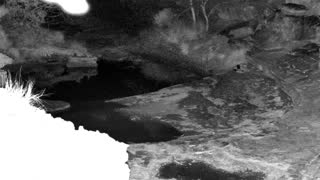 Still 2 from this detection