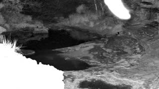Still 1 from this detection