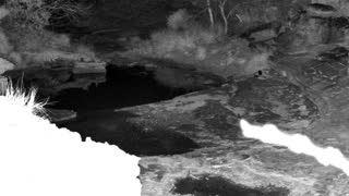 Still 1 from this detection