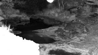 Still 2 from this detection