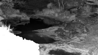 Still 2 from this detection