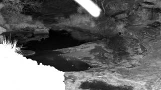 Still 1 from this detection