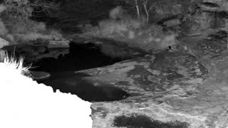 Still 1 from this detection