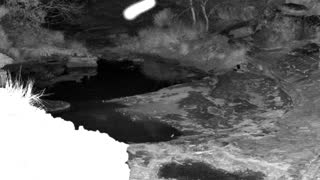 Still 2 from this detection