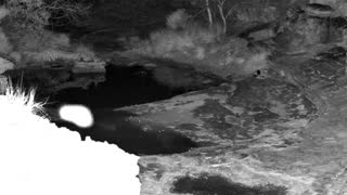 Still 1 from this detection