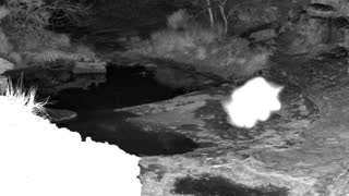 Still 1 from this detection