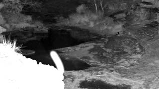 Still 1 from this detection