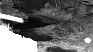 Still 1 from this detection