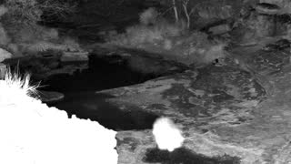 Still 2 from this detection