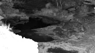 Still 3 from this detection