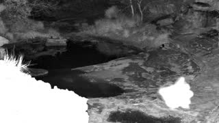 Still 1 from this detection