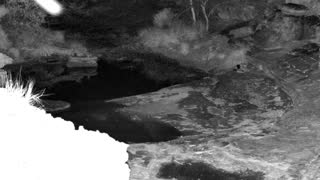 Still 1 from this detection