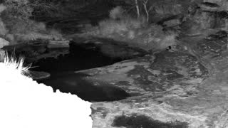 Still 1 from this detection