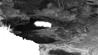 Still 2 from this detection