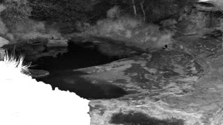 Still 2 from this detection