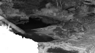 Still 2 from this detection