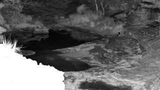 Still 1 from this detection