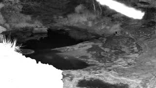 Still 1 from this detection