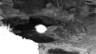 Still 1 from this detection