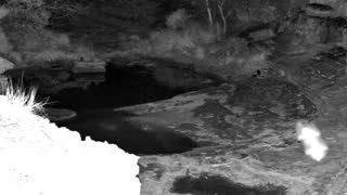 Still 2 from this detection