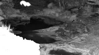 Still 1 from this detection