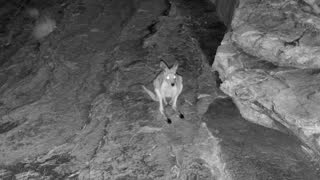 Still 2 from this detection