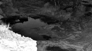 Still 1 from this detection