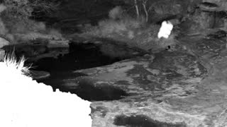 Still 1 from this detection