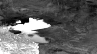 Still 1 from this detection