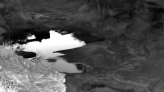 Still 3 from this detection