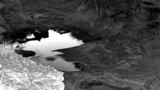 Still 1 from this detection