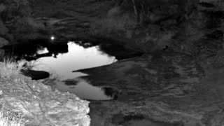 Still 2 from this detection