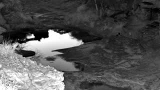 Still 2 from this detection