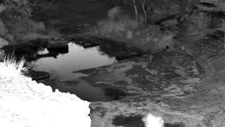 Still 1 from this detection