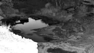 Still 2 from this detection
