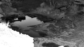 Still 1 from this detection