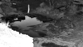 Still 3 from this detection
